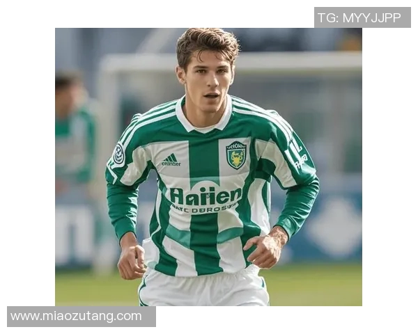 哈马比与索球队对决分析及赛前预测展望